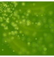 blurred lights green background vector image