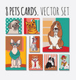 cats and dogs cards animals pets set vector image