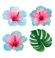 watercolor colorful hand drawn hibiscus flower vector image