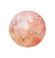 watercolor basketball on white vector image