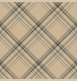 tartan scotland seamless plaid pattern retro vector image vector image