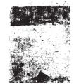 grunge background vector image vector image