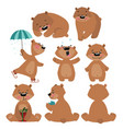 set of grizzly bears collection cartoon brown vector image