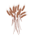 wheat vector image