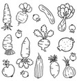 doodle of vegetables hand draw object vector image