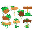 jungle cartoon elements tropical exotic plants vector image