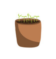 a young seedling in clay pot isolated on white vector image vector image