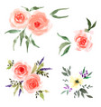 rose flower set with hand drawn watercolour vector image