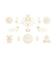 line elegant decoration design elements set vector image vector image