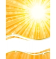 sunshine banner vector image vector image
