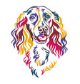 spaniel dog color contour portrait vector image