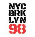 district of new york brooklyn vector image vector image