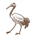 asian wild bird heron wader or stork isolated vector image