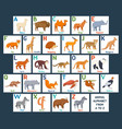 cute animals alphabet cards for kids education vector image vector image