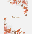 oak leaves acorn pine leaves and pine seed frame vector image
