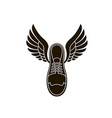 sport shoes icon vector image