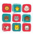 animals over colors squares and white background vector image