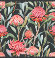 beautiful seamless floral pattern vector image