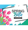 spring sale banner with pink tulips and frame vector image vector image