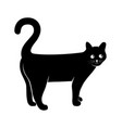 cat question vector image vector image