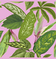 tropical seamless pattern with banana palm leaves vector image vector image
