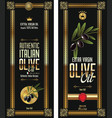 black olive oil elegant background vector image