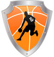 basketball icon vector image