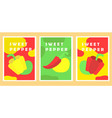 set of vegetable posters vector image vector image
