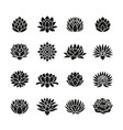 black lotus flowers silhouettes icons spa vector image