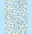 daisies background vector image vector image