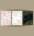 luxury glitter and marble set vector image vector image