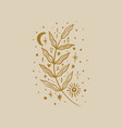 moonchild twig modern forest witch concept vector image