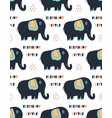 seamless pattern with cute elephant isolated vector image