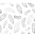 birds feathers seamless monochrome black pattern vector image