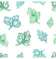seamless pattern with herbs vector image