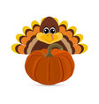 funny peligrimm with a pumpkin for thanksgiving vector image