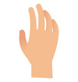 hand grip grabbing arm template holding gesture vector image