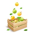 apple fruits falling vector image