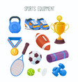 collection of sports equipment commonly sold vector image