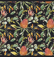 watercolor australian banksia pattern vector image vector image