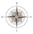 rose of the winds vintage vector image