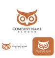 owl bird logo and symbol eps10 vector image vector image