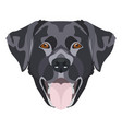 black labrador retriever with smiles vector image vector image