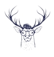 deer head in glasses vector image
