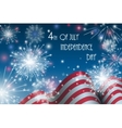 4th of july american independence day celebration vector image