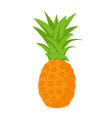 pineapple fruit icon vector image