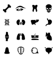 black anatomy icon set vector image