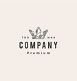 crown rock king stone hipster vintage logo icon vector image vector image