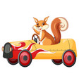 a squirrel driving car on white back ground vector image