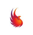 phoenix icon vector image vector image
